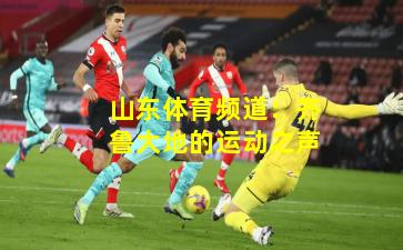 山东体育频道：齐鲁大地的运动之声